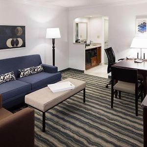 Premium Suite